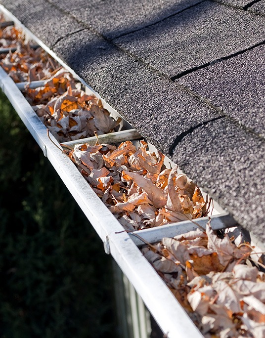 gutters filled with leaves